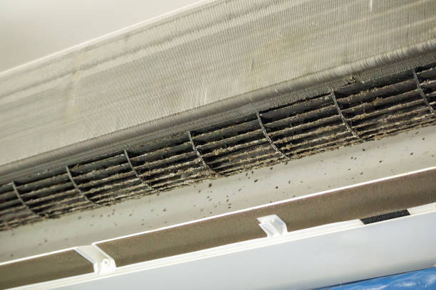 Best Air Duct Cleaning Near Me  in Dallas, TX